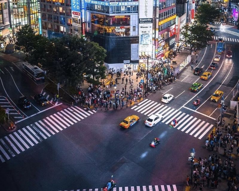 Tokyo: Private Customizable Tour with Transfer - Comfort That Helps You Sightsee Longer (And Shop Smarter)