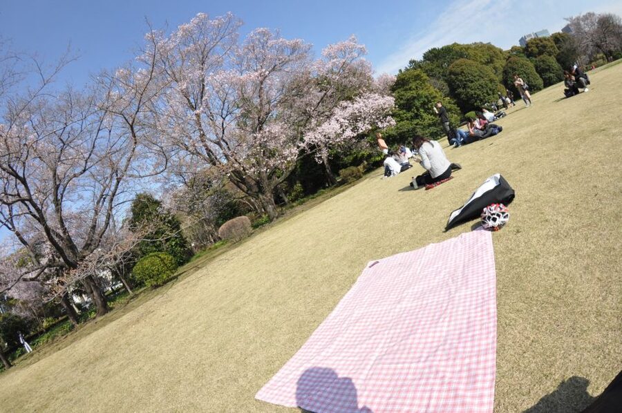 Tokyo: Private Cycling Tour with cute E-bike - Who should book this (and who should think twice)