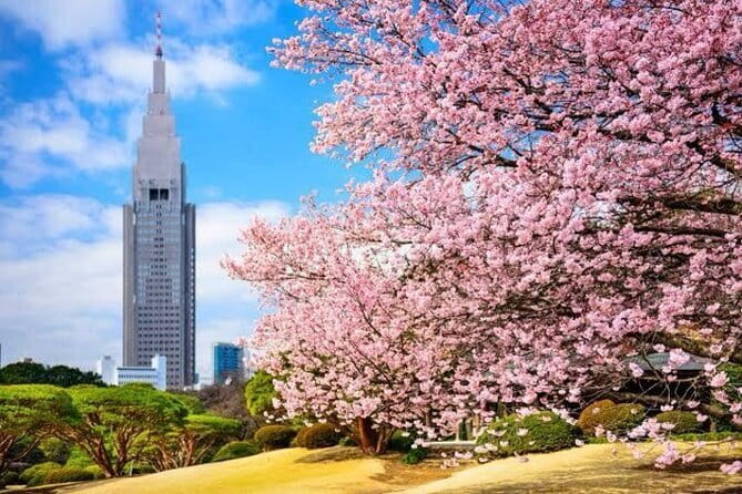 Tokyo Private Day Tour by Car with English speaking Driver - Tokyo Skytree: pay for the height, get a clean skyline reset