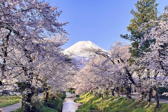Tokyo Private Day Tour by Car with English speaking Driver - Imperial Palace East Gardens: a rare calm pocket in central Tokyo