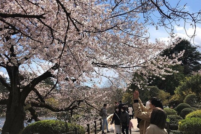 Tokyo Private Day Tour by Car with English speaking Driver Guide - Stop 1: Senso-ji Temple and Asakusa Street Energy