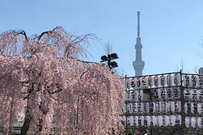 Tokyo Private Day Tour by Car with English speaking Driver Guide - Stop 5: Shibuya Crossing, Tokyo’s Most Famous Crowd Moment