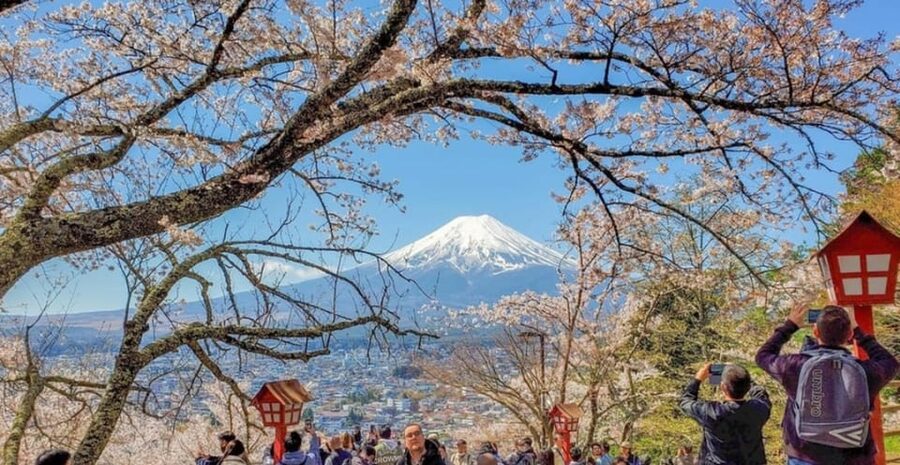 Tokyo: Private Day Trip to Mount Fuji and Hakone - Key Highlights Worth Planning For