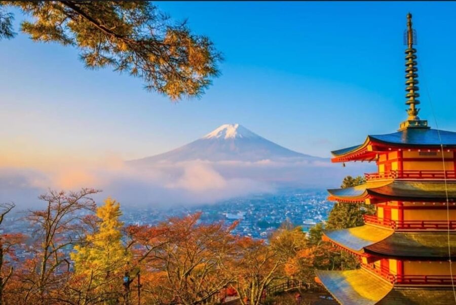 Tokyo: Private Day Trip to Mount Fuji and Hakone - Ice Cave and Old-Village Demonstration Stops
