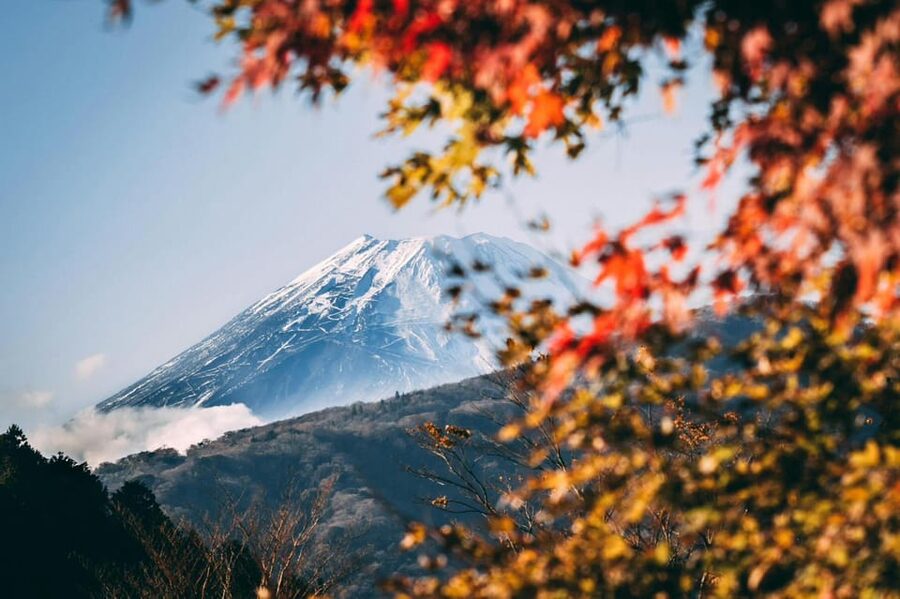 Tokyo: Private Day Trip to Mount Fuji and Hakone - Price and What You Really Get for $100