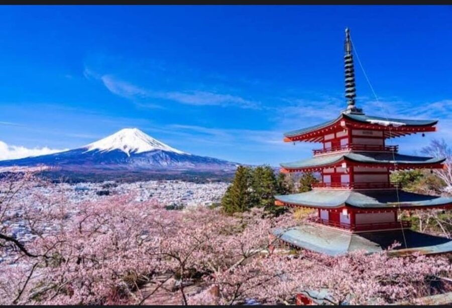 Tokyo: Private Day Trip to Mount Fuji and Hakone - Chureito Pagoda, Fuji Shrines, and the Best Way to Chase Views