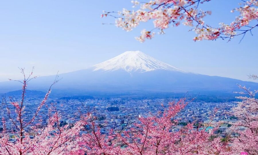 Tokyo: Private Day Trip to Mount Fuji and Hakone - Oshino Hakkai: Water Ponds, Village Feel, and a Needed Reset