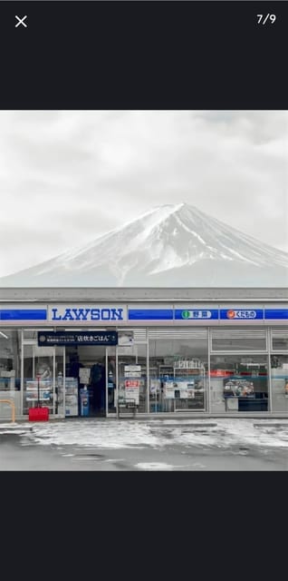 Tokyo: Private Day Trip to Mount Fuji and Hakone - Lake Kawaguchi, Oishi Park, and the Fuji Lakeside Pace