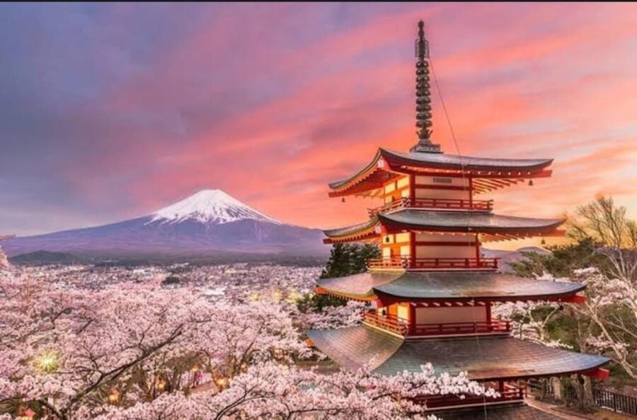 Tokyo: Private Day Trip to Mount Fuji and Hakone - Mt. Fuji 5th Station: Over 3,000 Meters and Real Altitude Cool