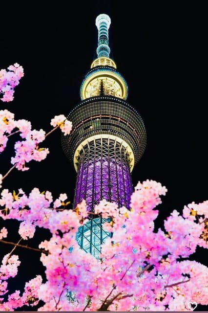 Tokyo Private Day Trip With English Speaking Driver - Akihabara: A Tech Break With Free Time
