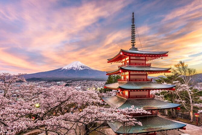 Tokyo private Driving Tour by car/van English speaking chauffeur - Price and value: what $430 gets you in a private day