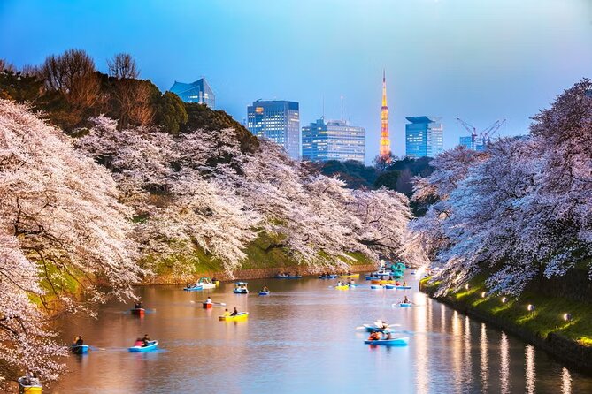 Tokyo Private Driving Tour by Car/Van with English Chauffeur - Senso-ji and the Imperial Palace: Two Types of Tokyo Calm