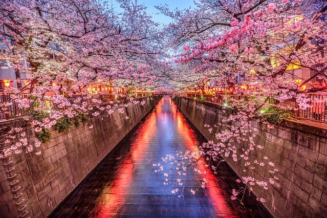 Tokyo Private Driving Tour by Car/Van with English Chauffeur - Ginza for Shopping, Omotesando for Coffee Culture