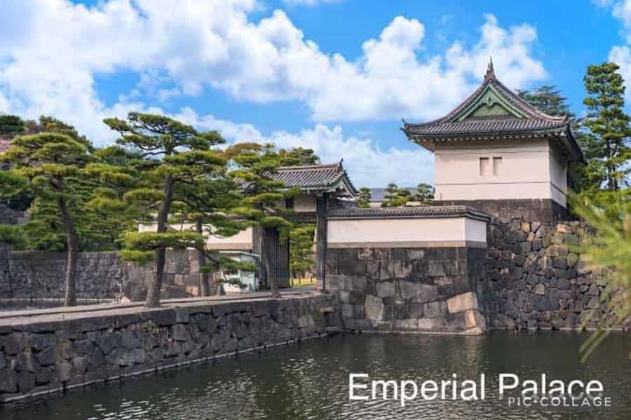 Tokyo: Private Full-Day Sightseeing Tour with Hotel Pickup - Why This 10-Hour Private Van Tour Works in Tokyo