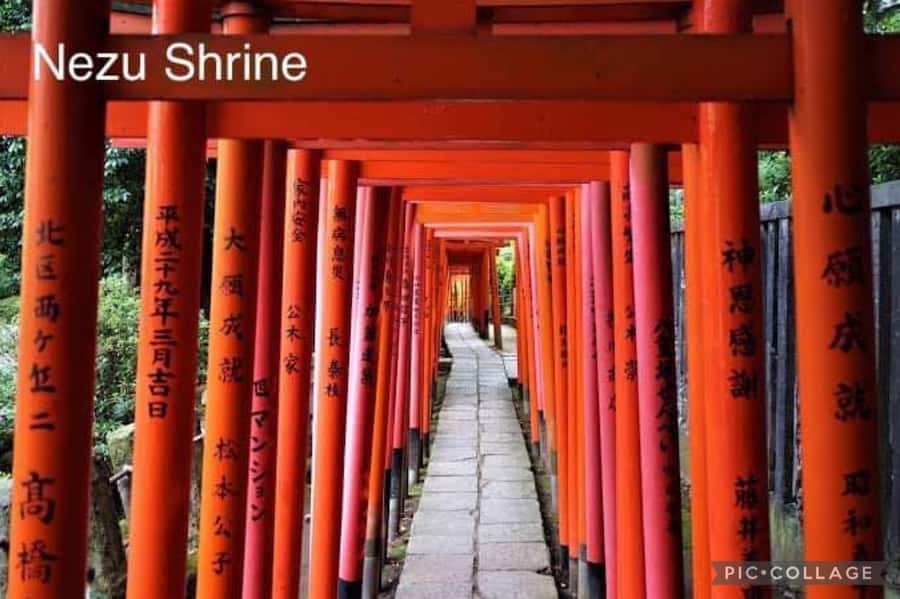Tokyo: Private Full-Day Sightseeing Tour with Hotel Pickup - Hotel Pickup and the Driver-First Experience (How to Get It Right)
