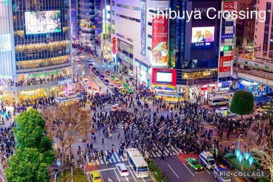 Tokyo: Private Full-Day Sightseeing Tour with Hotel Pickup - Imperial Palace Area and Hachikō: Two Stops That Differentiate Tokyo