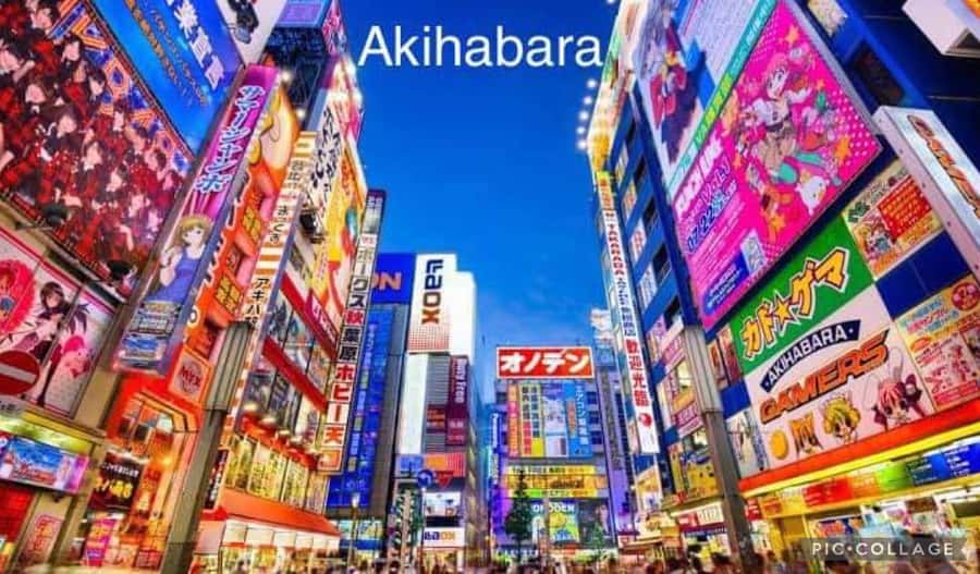 Tokyo: Private Full-Day Sightseeing Tour with Hotel Pickup - Tsukiji Fish Market: Fresh Sushi and a Real-World Food Stop