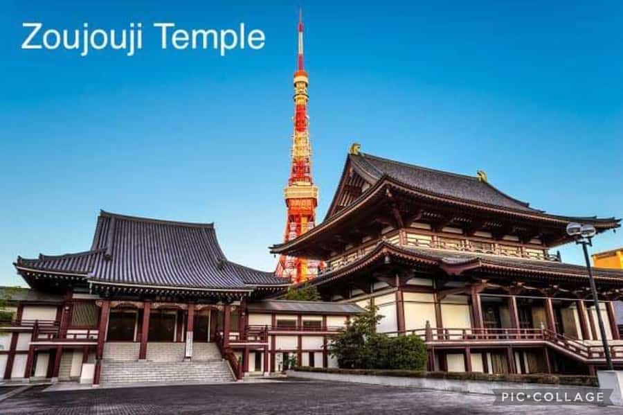 Tokyo: Private Full-Day Sightseeing Tour with Hotel Pickup - Shibuya Crossing: When Tokyo Feels Like a Movie Scene