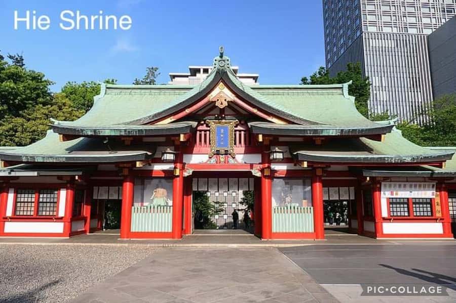 Tokyo: Private Full-Day Sightseeing Tour with Hotel Pickup - Choosing 7–8 Destinations: Build a Day That Fits You