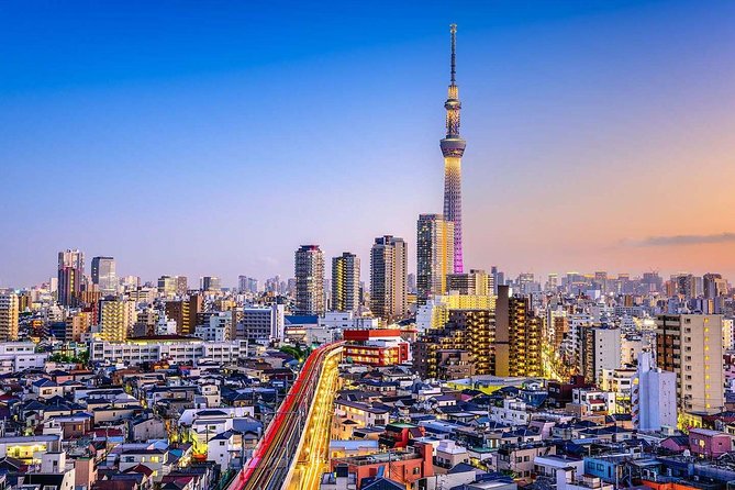 Tokyo Private Full-Day Tour by Car or Van - What You’re Paying For: A Private Day That Avoids Tokyo’s Friction