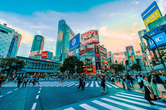 Tokyo Private Full-Day Tour by Car or Van - Tokyo Skytree Views: The Paid Ticket That Changes Your Whole Perspective