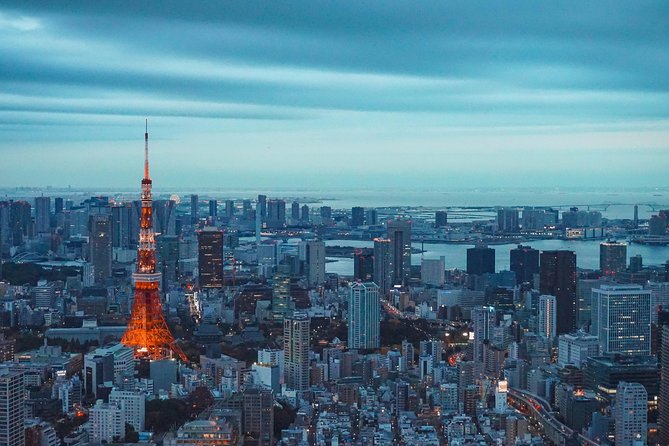 Tokyo Private Full-Day Tour by Car or Van - Tsukiji Fish Market: Outer Market Food Atmosphere Without the Sorting Hassle