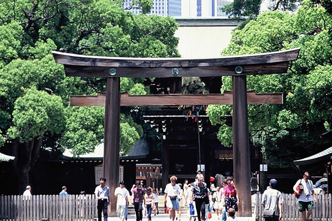Tokyo Private Guided 1/2-Day Walking Subway Tour English guide - Key Highlights Worth Getting Excited About