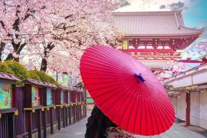 Tokyo: Private Guided Tour with Hotel Pickup and Drop-off - How the private, car-based Tokyo day actually runs