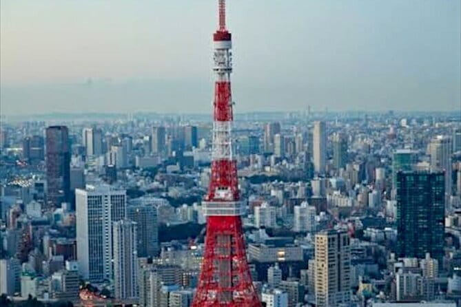 Tokyo: Private Guided Tour with Hotel Pickup and Drop-off - Shibuya and Harajuku: fashion, photos, and your chosen amount of chaos