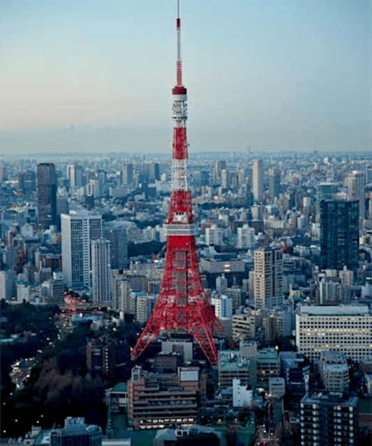 Tokyo: Private Guided Tour with Hotel Pickup and Drop-off - Customizing for your interests: Akihabara, Ginza, TeamLabs, and more
