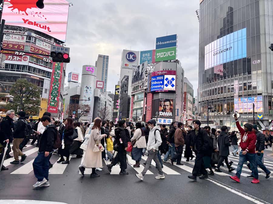 Tokyo: Private Half-Day Highlights Tour by Car with Guide - Price and value: is $385 per group up to 4 actually fair?