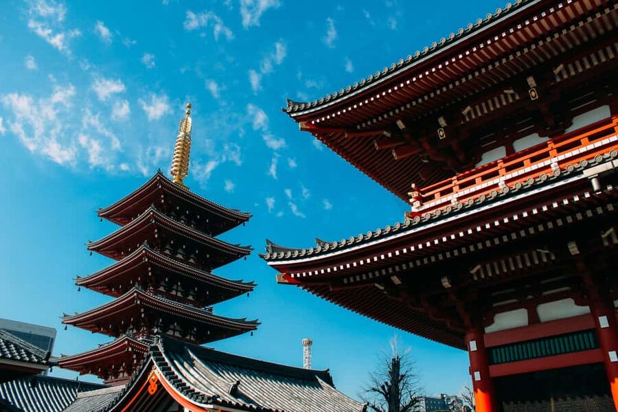 Tokyo Private Local Walking Tour (Must See Places in 1 Day) - Meiji Shrine: a breather before Shibuya and Shinjuku