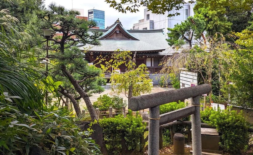 Tokyo: Private Morning Run with Sento Bath Experience - Yoyogi Park: green calm before the city gets loud