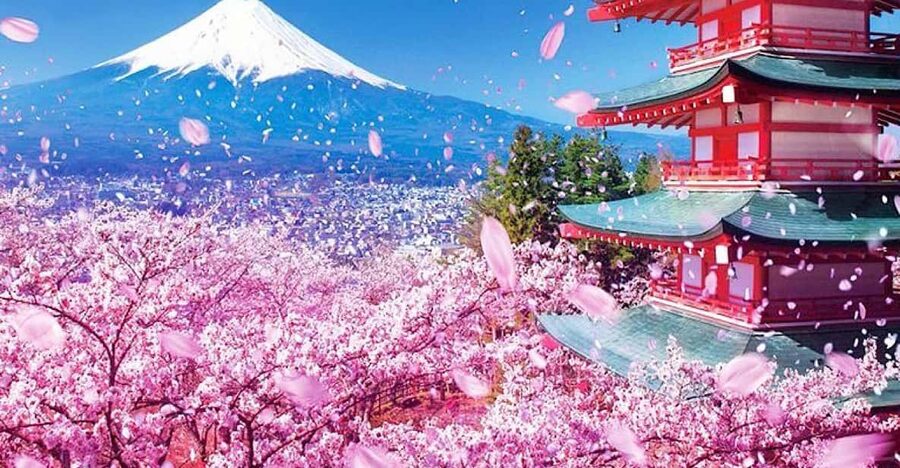 Tokyo: Private Mount Fuji and Hakone Day Trip with Guide - Price and Logistics: Does $419 for a Group Up to 5 Make Sense?