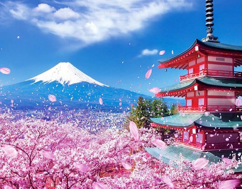 Tokyo: Private Mount Fuji and Hakone Day Trip with Guide - Packing for a Fuji Day That Might Be Cold, Windy, or Bright