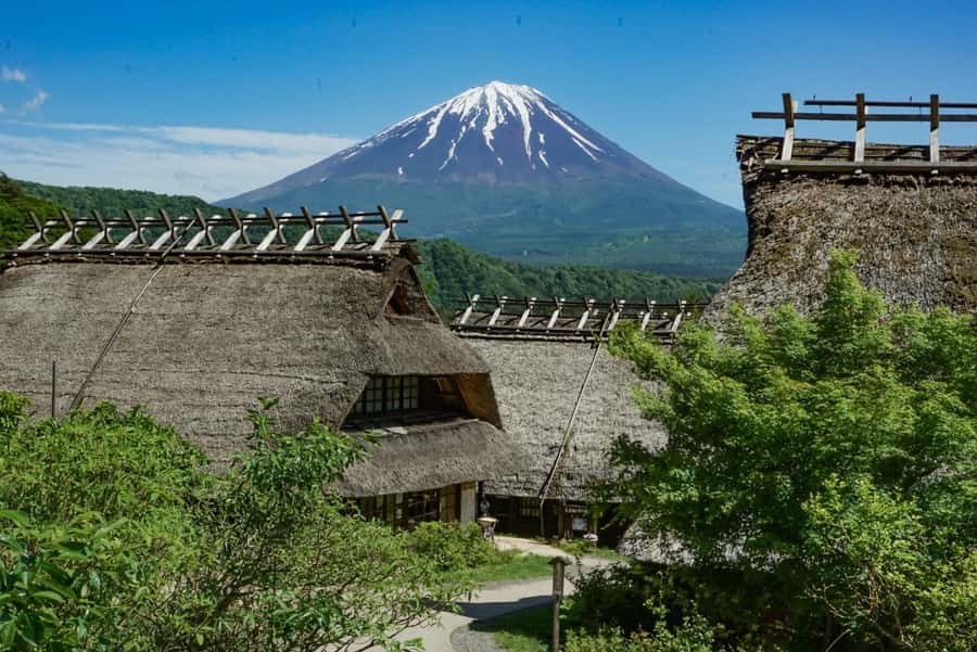 Tokyo: Private Mount Fuji Tour with Pickup and Drop-Off - The guide and van factor: why private feels less stressful