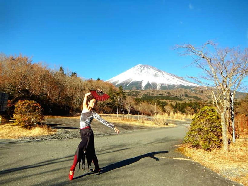 Tokyo: Private Mt. Fuji Luxury Day Tour – Fully Customizable - Private Fuji Starts at Your Tokyo Hotel (Not a Meeting Spot)