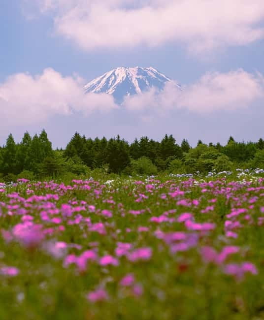 Tokyo: Private Mt. Fuji Luxury Day Tour – Fully Customizable - Price and Value: $387 for Up to 5 People