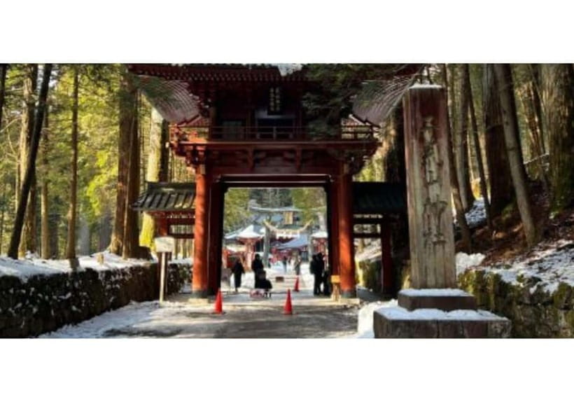 Tokyo: Private Nikko Sightseeing Tour In Luxury Land Cruiser - Price and Value: When $399 per Group Makes Sense