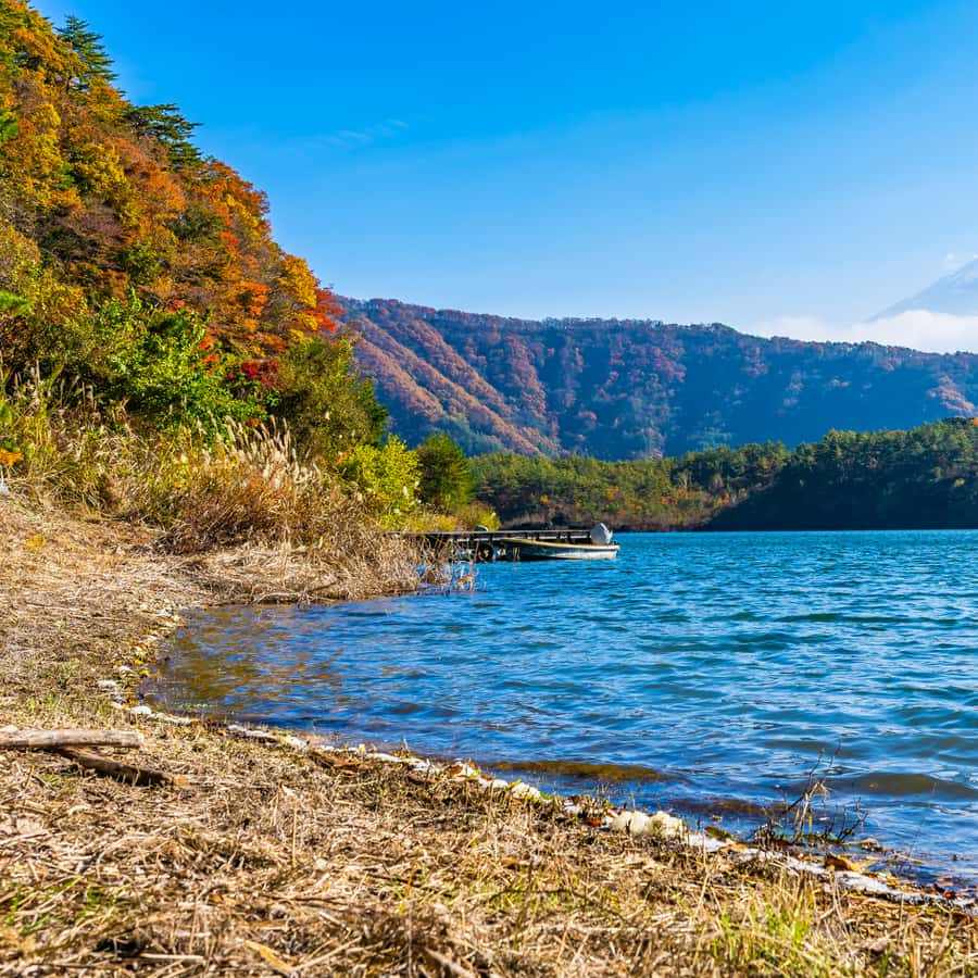 Tokyo: Private Nikko World Heritage Instagramable Day Tour - Price and value: $505 for up to 6 people