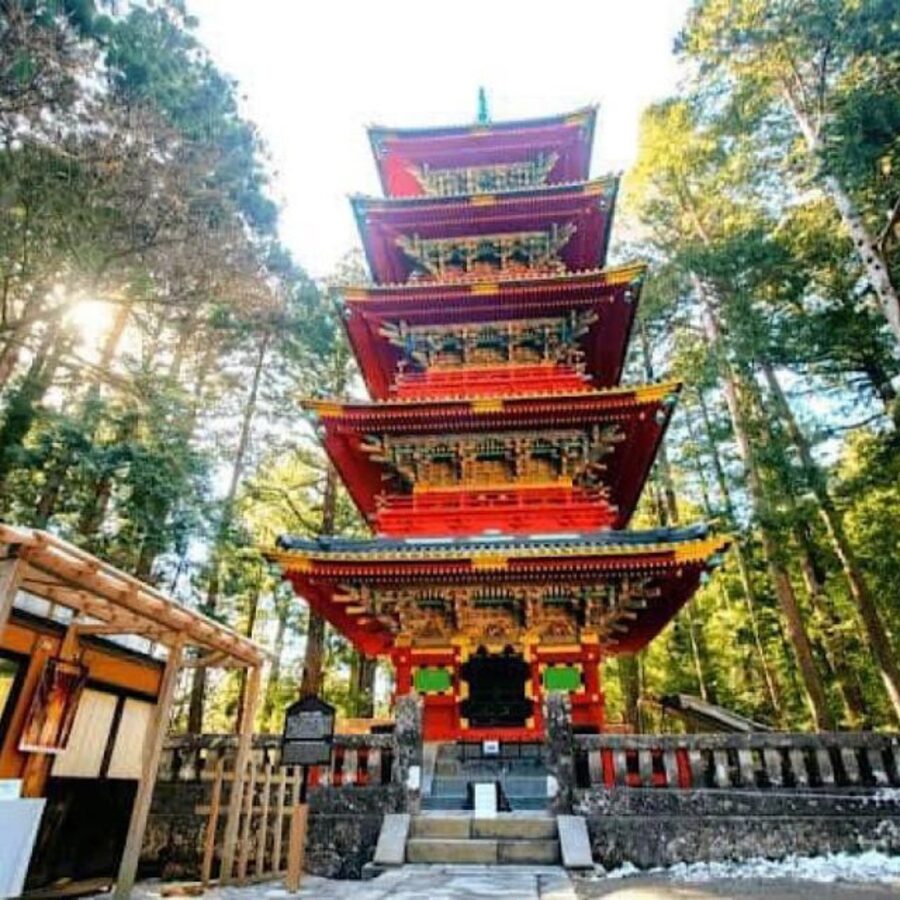 Tokyo: Private Nikko World Heritage Instagramable Day Tour - Comfort details that make the commute worth it