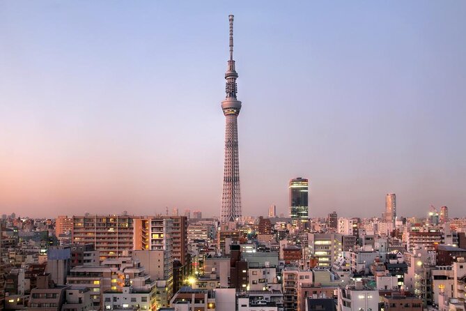 Tokyo: Private One-Way Transfers to/from Yokohama Port - Key things that make this transfer worth your attention