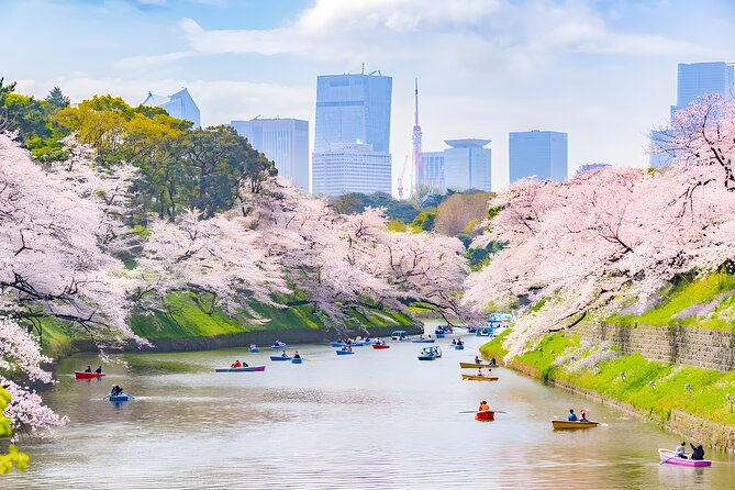 Tokyo Private Sightseeing Tour by Car and English Speaking Driver - Tsukiji Outer Market: the easiest win for a food-focused Tokyo day