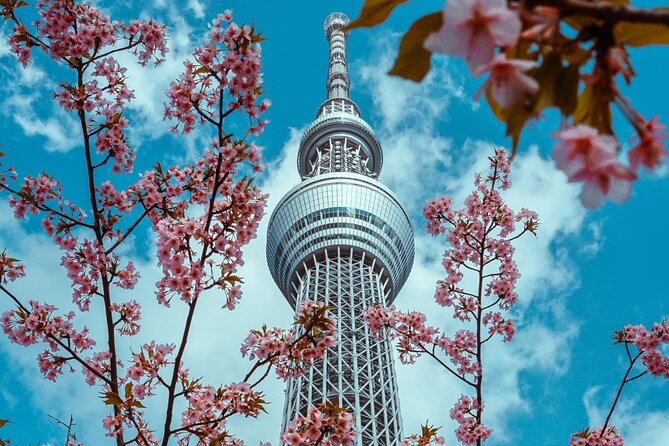 Tokyo Private Sightseeing Tour by Car- English speaking chauffeur - Imperial Palace area: the calm break you didn’t plan for