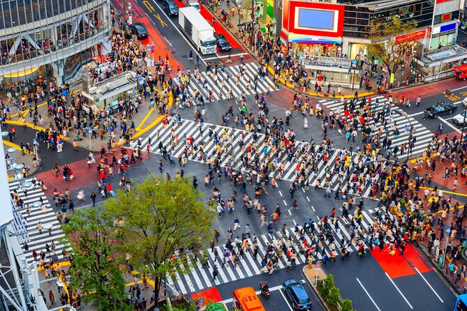 Tokyo Private Sightseeing Tour by Car - English speaking driver - Key Points Before You Go