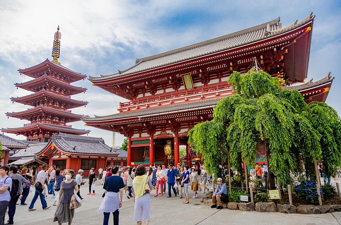 Tokyo Private Sightseeing Tour by Car - English speaking driver - Senso-ji Temple: The Walk You Should Actually Plan For