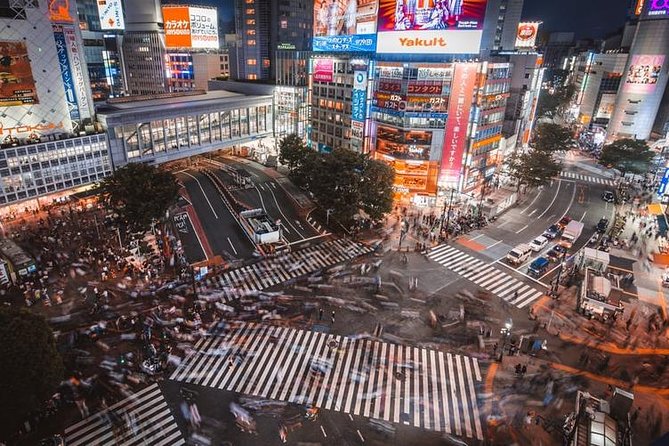 Tokyo Private Sightseeing Tour with English Speaking Driver - Practical Tips That Make This Tour Feel Effortless