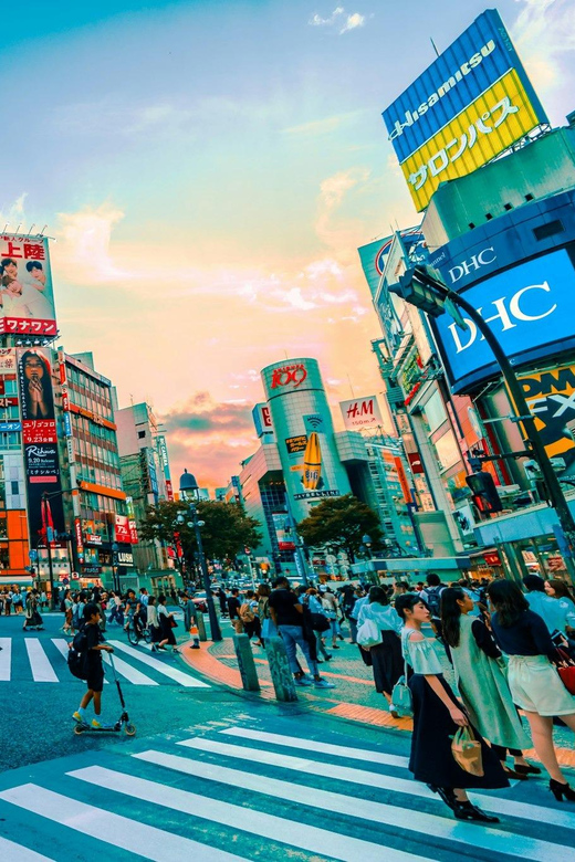 Tokyo: Private Tailored Tour with a Local Guide - Key points to know before you go