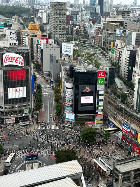 Tokyo: Private Tailored Tour with a Local Guide - Meiji Jingu and the Shift From City Noise to Forest Quiet