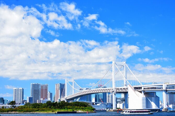 Tokyo Private Tour - Tsukiji Outer Market: food smells before the big-city rush